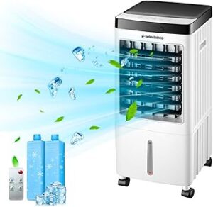 Cooler portátil