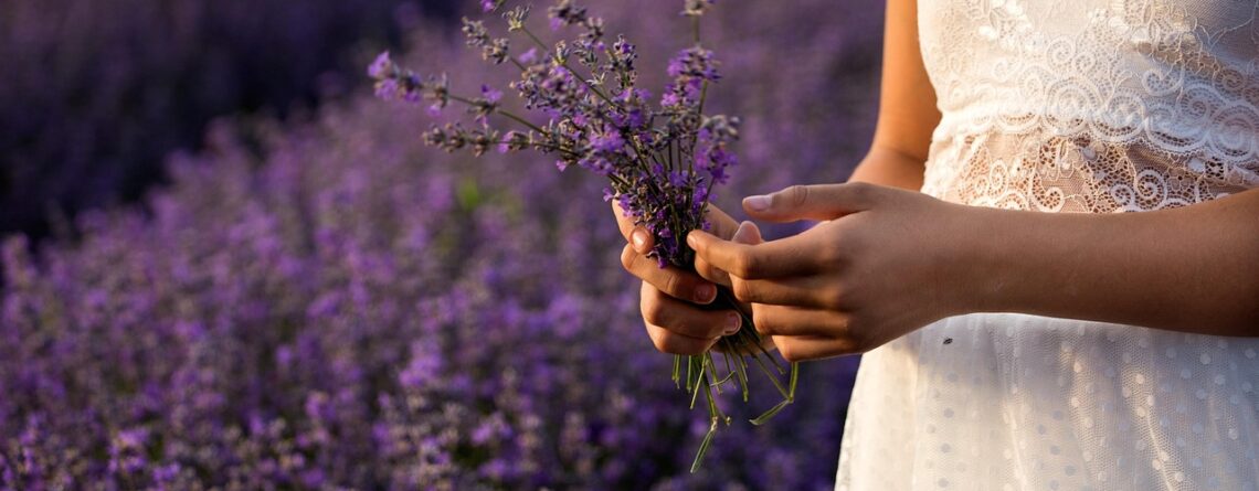 por qué se regalan flores moradas