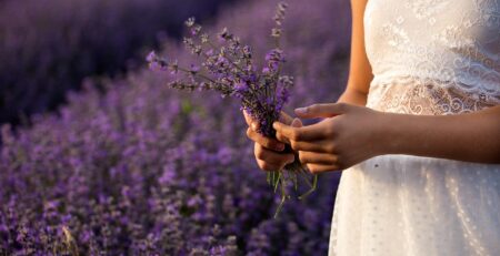 por qué se regalan flores moradas